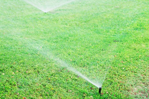 Arrosage automatique pelouse : des options techniques pour un gazon toujours vert